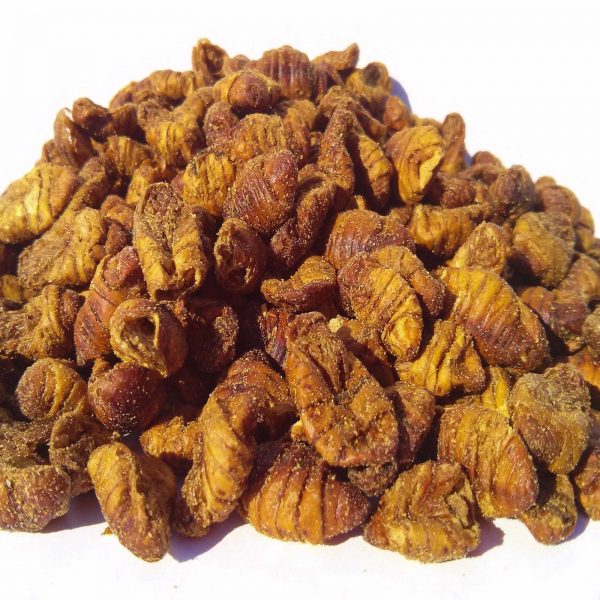 silkworm pupae for koi