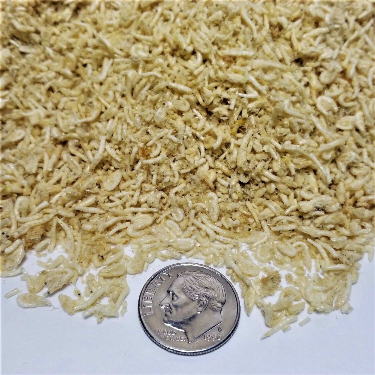 Mysis Shrimp: Freeze Dried, for all Tropical and Marine Fish, Free Shipping Included - Image 2