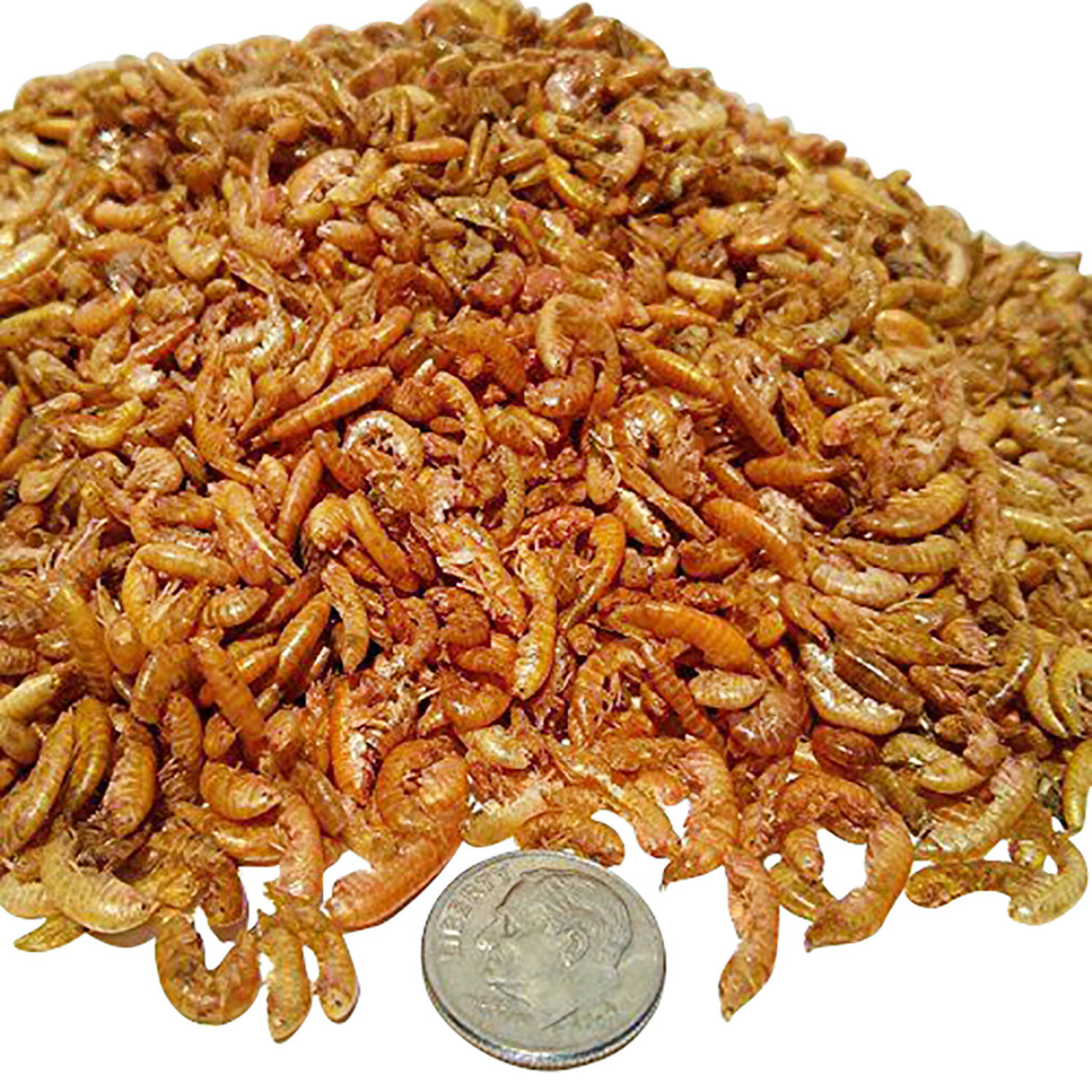 Gammarus: Freeze Dried, Great for Smaller Discus, Free Shipping Included