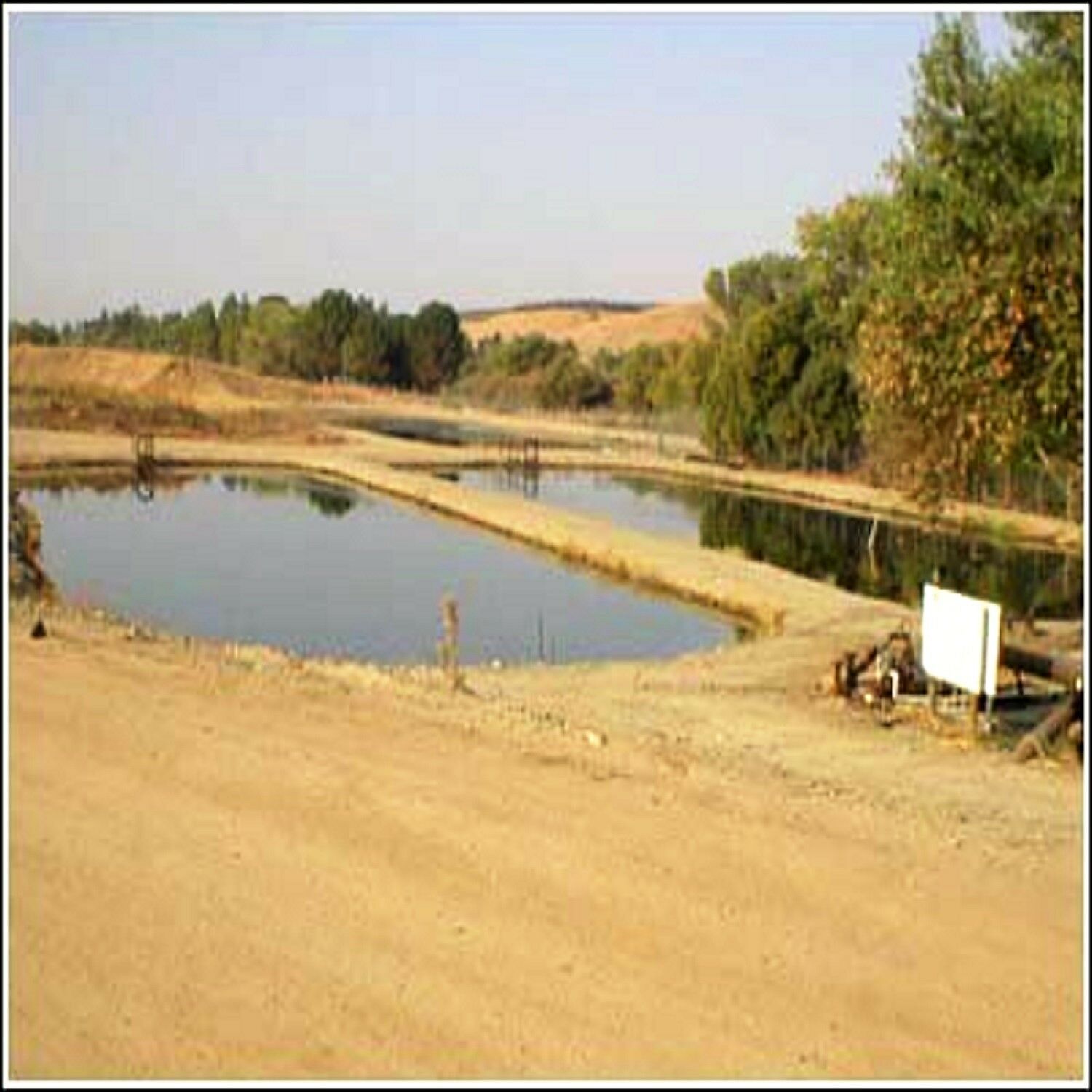 Blackworms, Freeze Dried Premium Colorado Blackworms Loose Powdery Siftings, Fry Food, Food Mix-In, Free Shipping Included! - Image 3